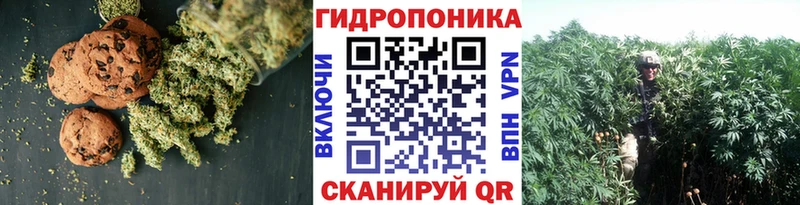 Купить где  Кунгур  Cannafood конопля 