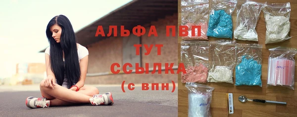 стаф Заводоуковск