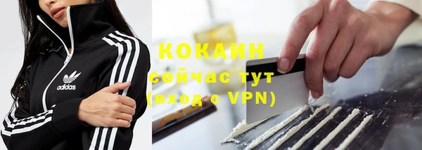 стаф Заводоуковск