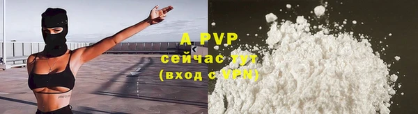 стаф Заводоуковск