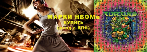 стаф Заводоуковск