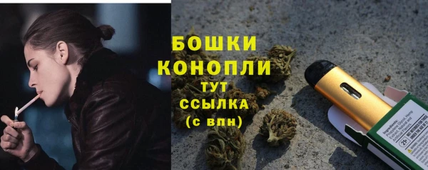 стаф Заводоуковск